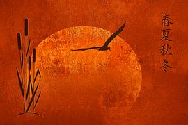 Schilf asiatisch für Jahreszeiten von Monika Jüngling