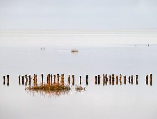Houten palen in de Noordzee