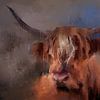 Schotse hooglander / High land Cow, abstract schilderij van MadameRuiz