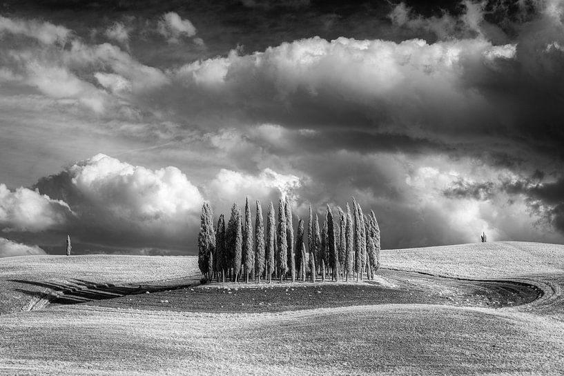 Cypresses Val d'Orcia -3- Tuscany - infrared black and white by Teun Ruijters