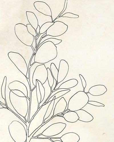 Eucalyptus I, Karyn Panganiban