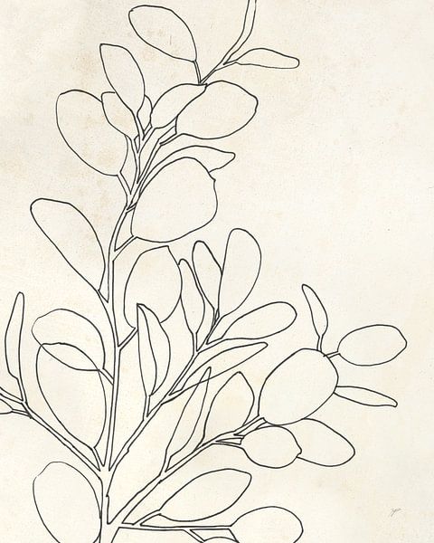 Eukalyptus I., Karyn Panganiban von Wild Apple