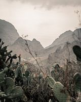 Tenerife | El teide | Photographie de paysage | Voyage