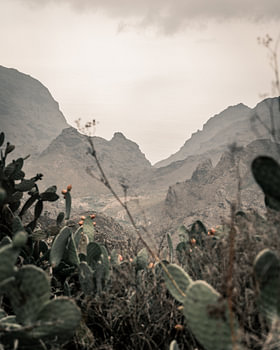 Teneriffa | El teide | Landschaftsfotografie | Reisen