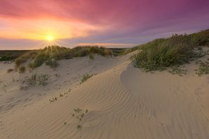 Zonsondergang in de duinen van Den Haag van Rob Kints