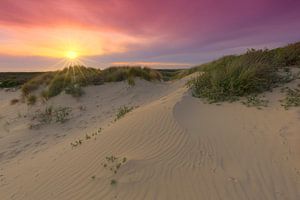Coucher de soleil dans les dunes de La Haye