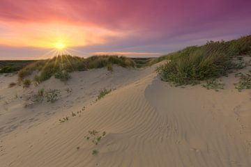 Coucher de soleil dans les dunes de La Haye sur Rob Kints