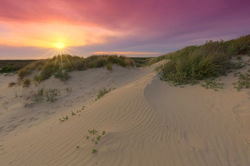 Sunset in the dunes of The Hague