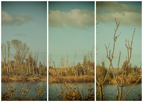 triptyque lauwersmeer 19