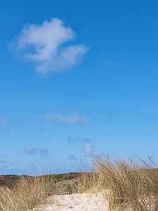 Paysage d'été sur Vlieland sur Hillebrand Breuker