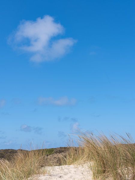 Sommerlandschaft auf Vlieland von Hillebrand Breuker