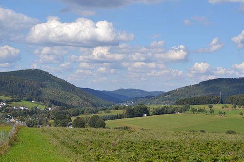 Winterberg, wandelen over de Eggekopf