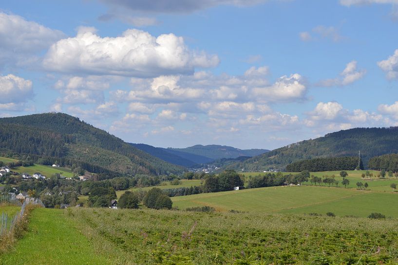 Winterberg, Wanderung über den Eggekopf von Bernard van Zwol
