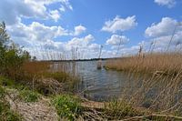Biesbosch nationaal park