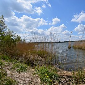 Biesbosch nationaal park van Hans Janssen