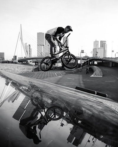 Rotterdam Madness (2.0)