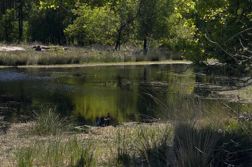 Landscape 8 by True Color Stories