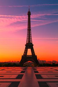 PARIS 03