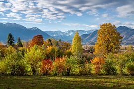 Herbstlandschaft in Munrau mit Blick zu den Alpen von ManfredFotos