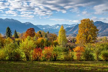 Herbstlandschaft in Munrau mit Blick zu den Alpen