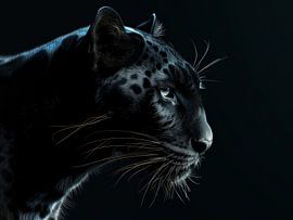 Schattenjäger - Das Geheimnis des Schwarzen Panthers