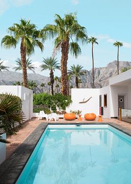 Palm-Springs-Stimmung von Gal Design