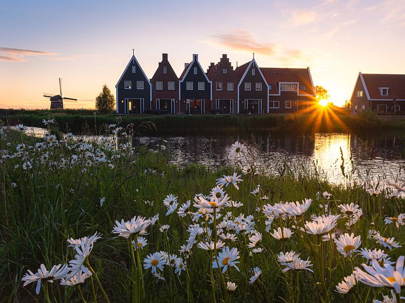 Feels like Summer! van Arnoud van de Weerd
