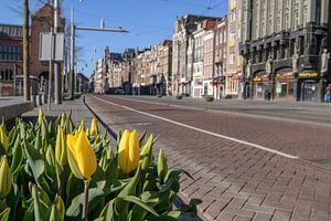 Damrak-Straße in Amsterdam an einem sonnigen Morgen