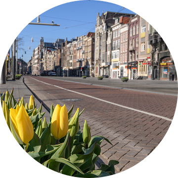 Damrak straat in Amsterdam tijdens een zonnige ochtend van Sjoerd van der Wal Fotografie