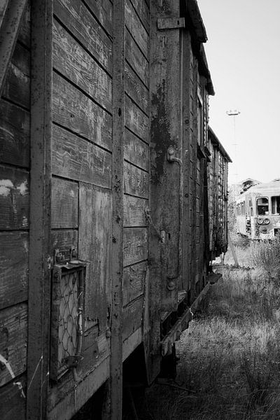 Transport-Zug von Julian Buijzen