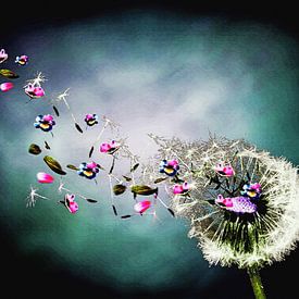 colors of the wind, dandelion with colored flowers by MirEll digital art