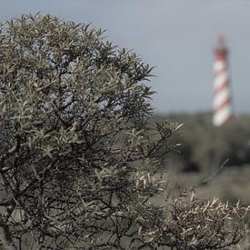 vuurtoren sur Max van Boxel