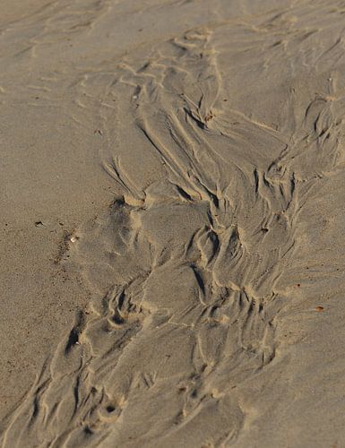 strand en wind