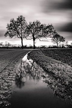 Country road Twente. by Frank Slaghuis