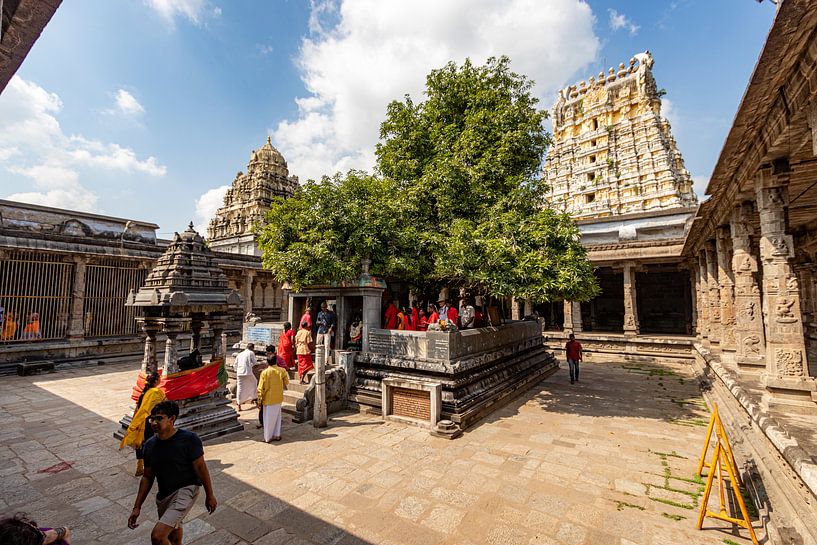 De heilige mangoboom in de Ekambareswarar Tempel, Kanchipuram van Martijn