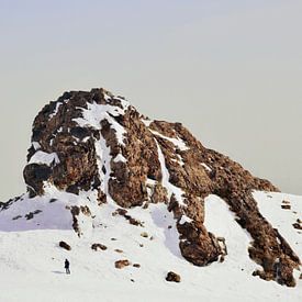 Lazy Puppy Rock von Martijn Schrijver