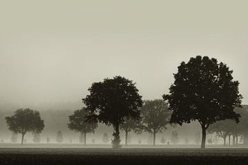 Fietser in de mist