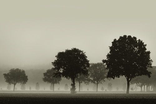 Cyclist in the fog