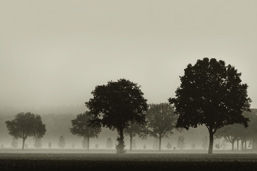 Cyclist in the fog by Ellen Gerrits