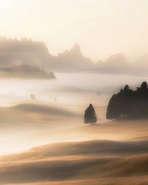 omantische Alpenlandschaft bewundern
