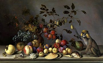 Balthasar van der Ast,Stilleven met fruit, schelpen en aap