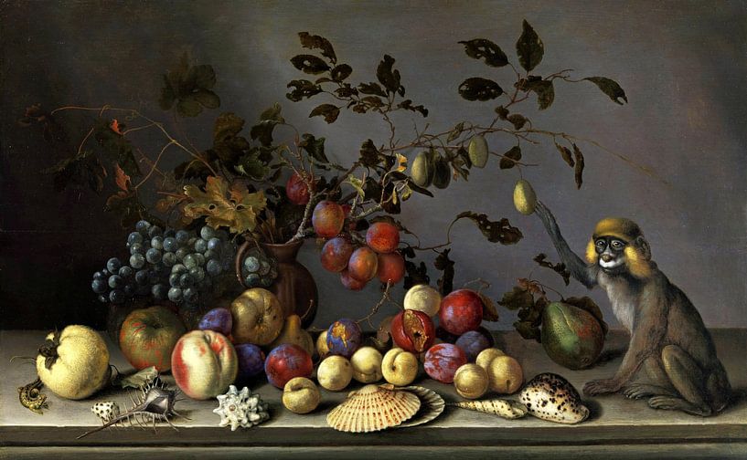 Balthasar van der Ast,Stilleven met fruit, schelpen en aap van finemasterpiece