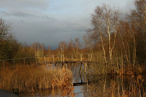 Bruggetje in de Deelen