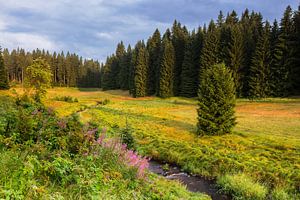 Das Erzgebirge in goldenes Licht getaucht