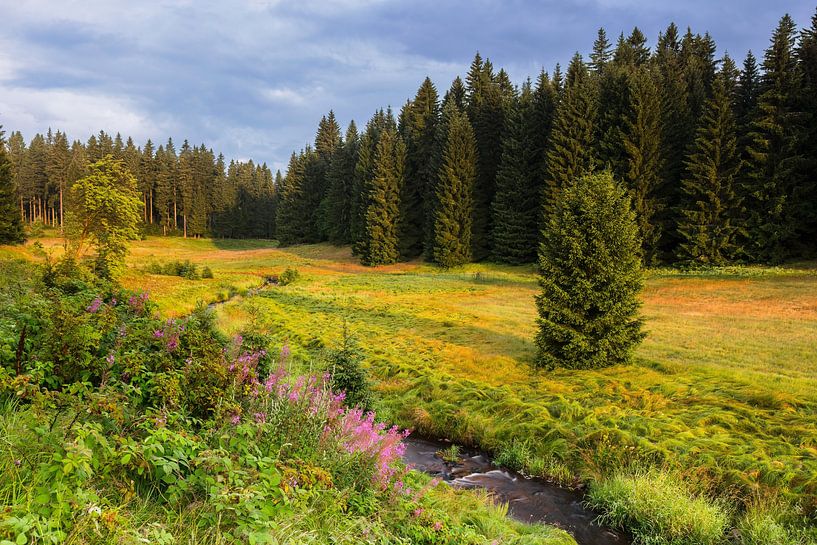 The Ore Mountains bathed in golden light by Daniela Beyer
