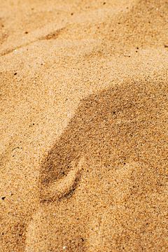 Soleil et sable | Gros plan sur Suzanne Spijkers
