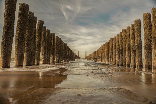 groynes fantastiques en zeeland