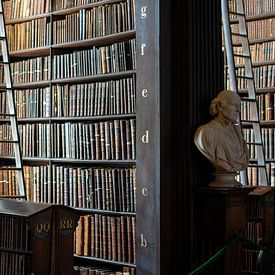 Bibliothek des Trinity College von Terry De roode