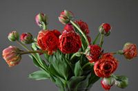 Boeket rode tulpen op de vaas
