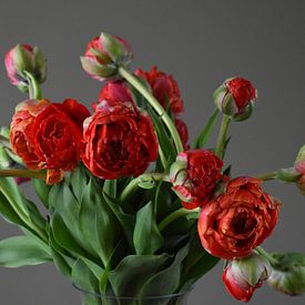 Boeket rode tulpen op de vaas van Arjan van der Veer